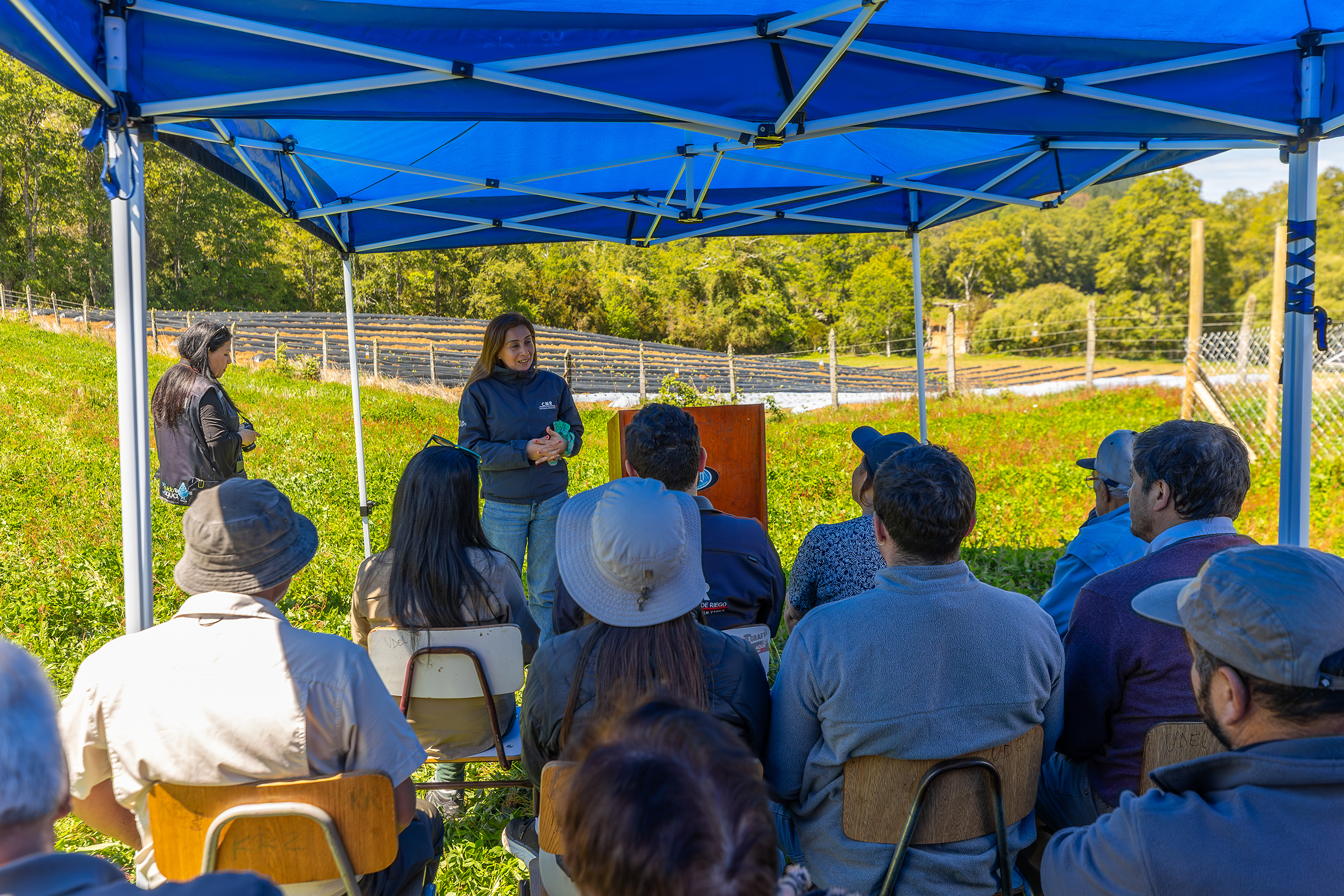Proyecto de riego y manejo hídrico asociado a proyectos CNR